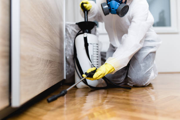 Best Commercial Pest Control Services  in Sylvester, GA
